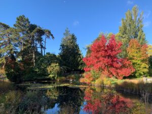 Day in Cambridge. Cambridge University Botanical Garden