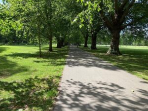 Jesus Green in Summer. Parks and Green spaces in Cambridge